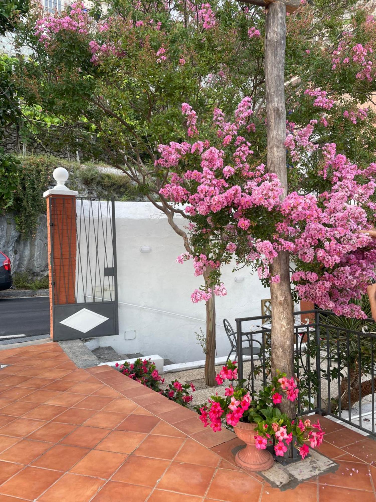 פורורה Villa Pino מראה חיצוני תמונה
