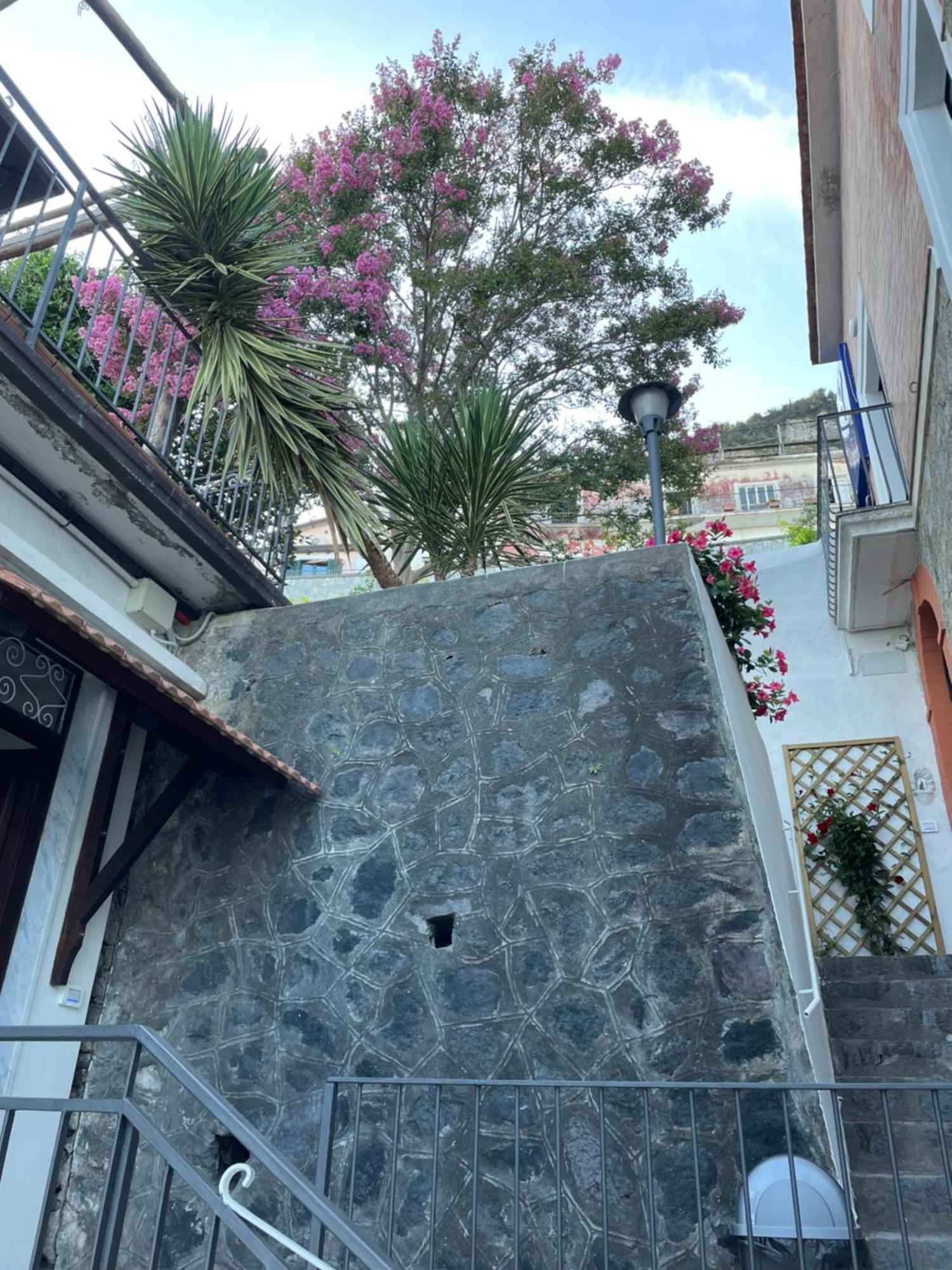 פורורה Villa Pino מראה חיצוני תמונה