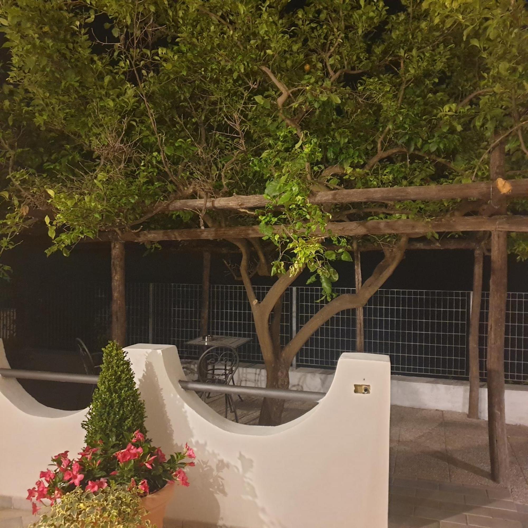 פורורה Villa Pino מראה חיצוני תמונה